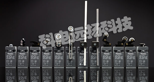 SCHLEGEL限位開關(guān)_德國SCHLEGEL限位開關(guān)特征