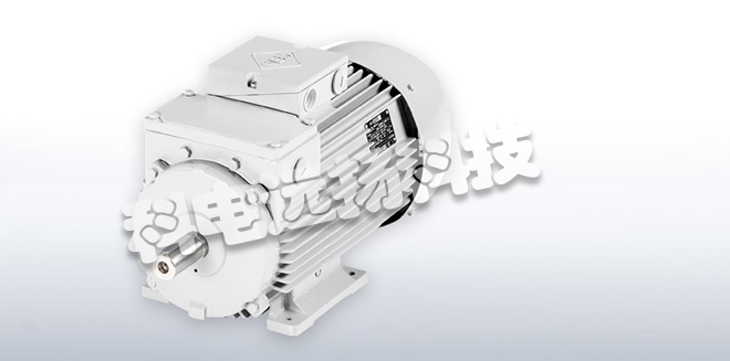 VEM電動機(jī)_德國VEM電動機(jī)特征