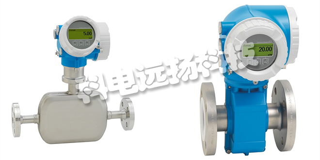 E+H流量計(jì)_德國(guó)E+H流量計(jì)說明書