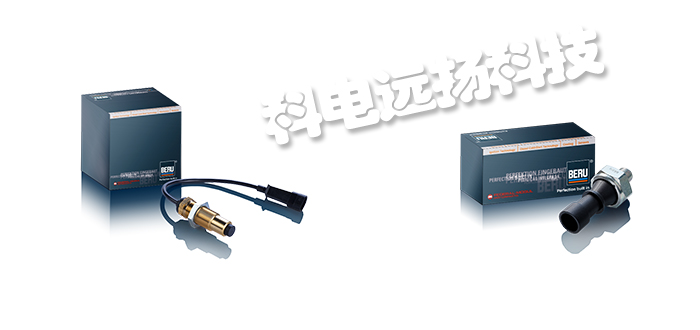 德國(guó)BERU溫度傳感器與速度傳感器產(chǎn)品的區(qū)別